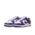 Nike Dunk Low Top Скейтборд