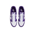 Nike Dunk Low Top Скейтборд