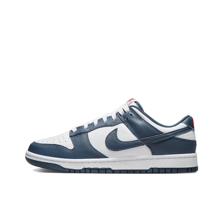 NIKE Nike Dunk Low Top Скейтборд