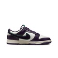 Nike Dunk Ретро 'Шенилл Swoosh'