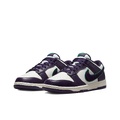 Nike Dunk Ретро 'Шенилл Swoosh'