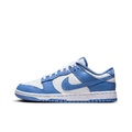 Nike Dunk Low Top Скейтборд