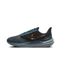 Nike Air Winflo 9 Low