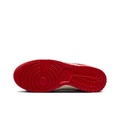 Nike Dunk Low Top Скейтборд