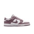 Nike Dunk Low Top Скейтборд