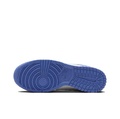 Nike Dunk Low Next Nature