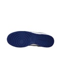 Nike Dunk Low Top Скейтборд