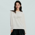 Champion Спортивный ретро стиль SS26