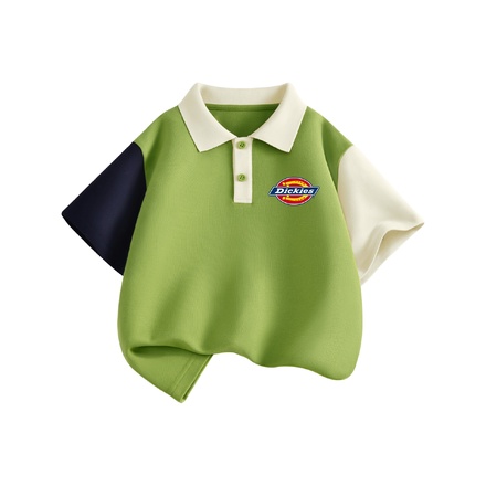 Dickies Dickies Стандартный размер K Попугай